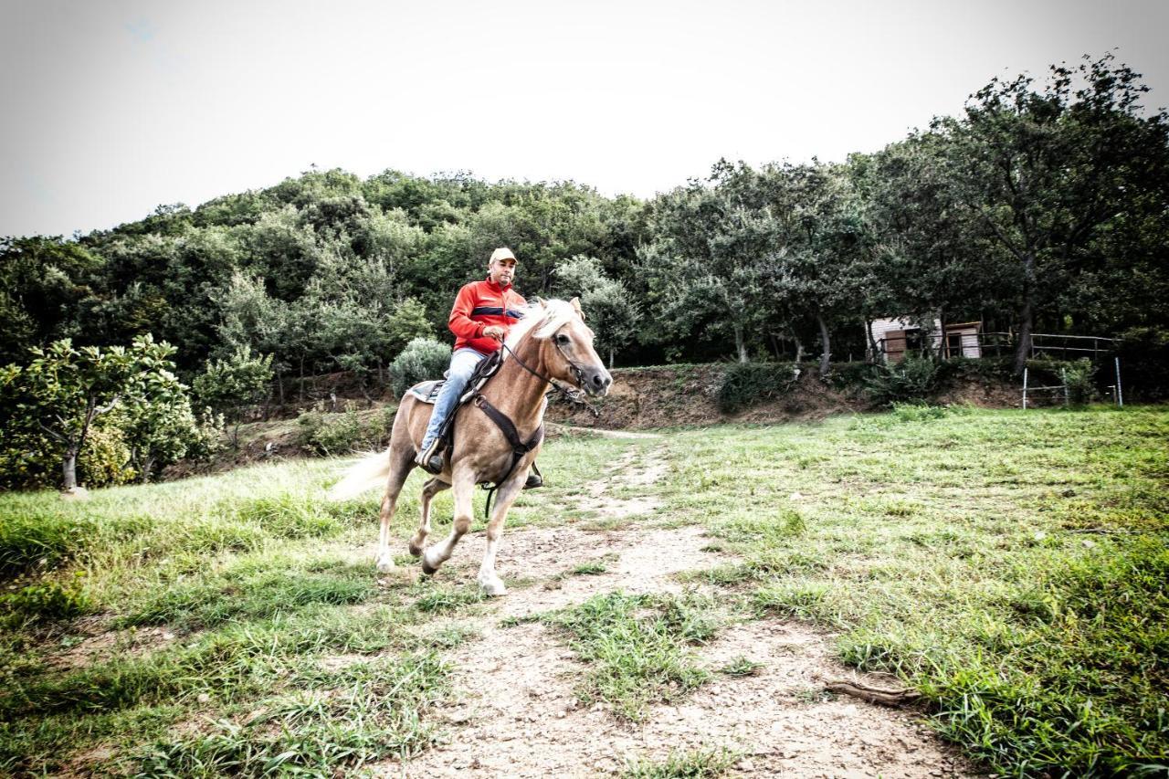 Borgo Rosso Di Sera - Resort Country Chic サン・ルーチド エクステリア 写真
