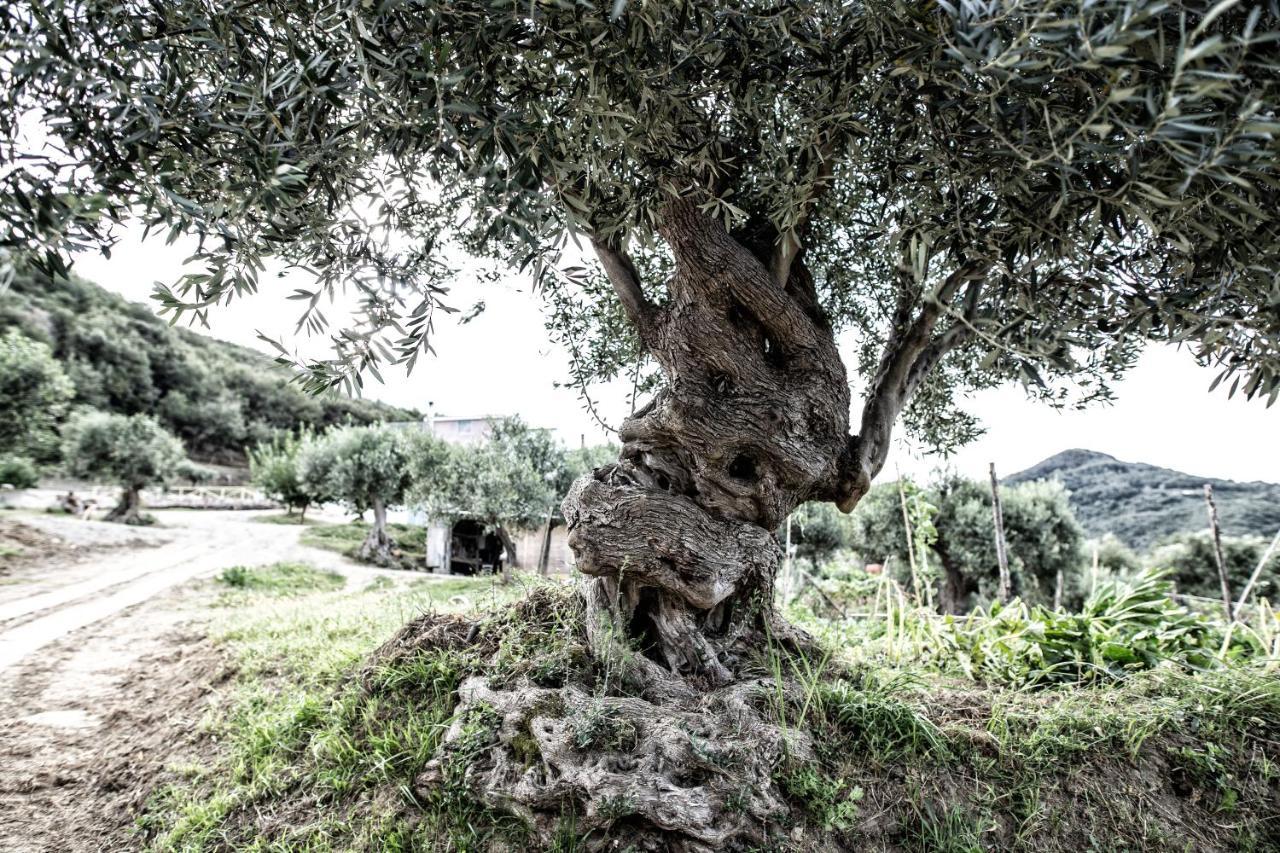 Borgo Rosso Di Sera - Resort Country Chic サン・ルーチド エクステリア 写真