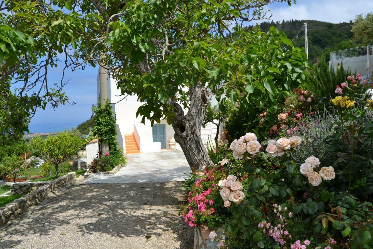 Borgo Rosso Di Sera - Resort Country Chic サン・ルーチド エクステリア 写真